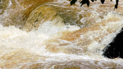 a tributary in the brazilian rainforest is replenished by needed rain during a drought