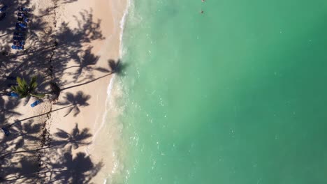 vista aérea de una playa tropical con palmeras y agua turquesa