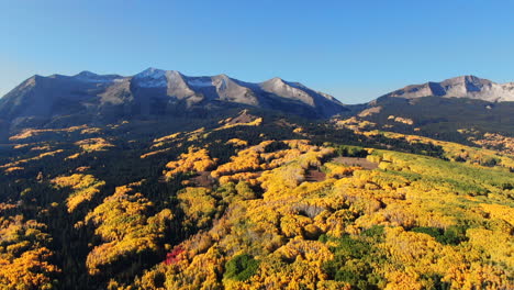 colorful colorado cinematic aerial drone kebler pass crested butte gunnison wilderness autumn fall yellow aspen trees dramatic incredible landscape daylight bluebird rocky peaks downward motion