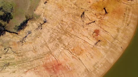 aerial view above dead trees and dry nature, at lake hume, sunny day, in victoria, australia - top down, drone shot