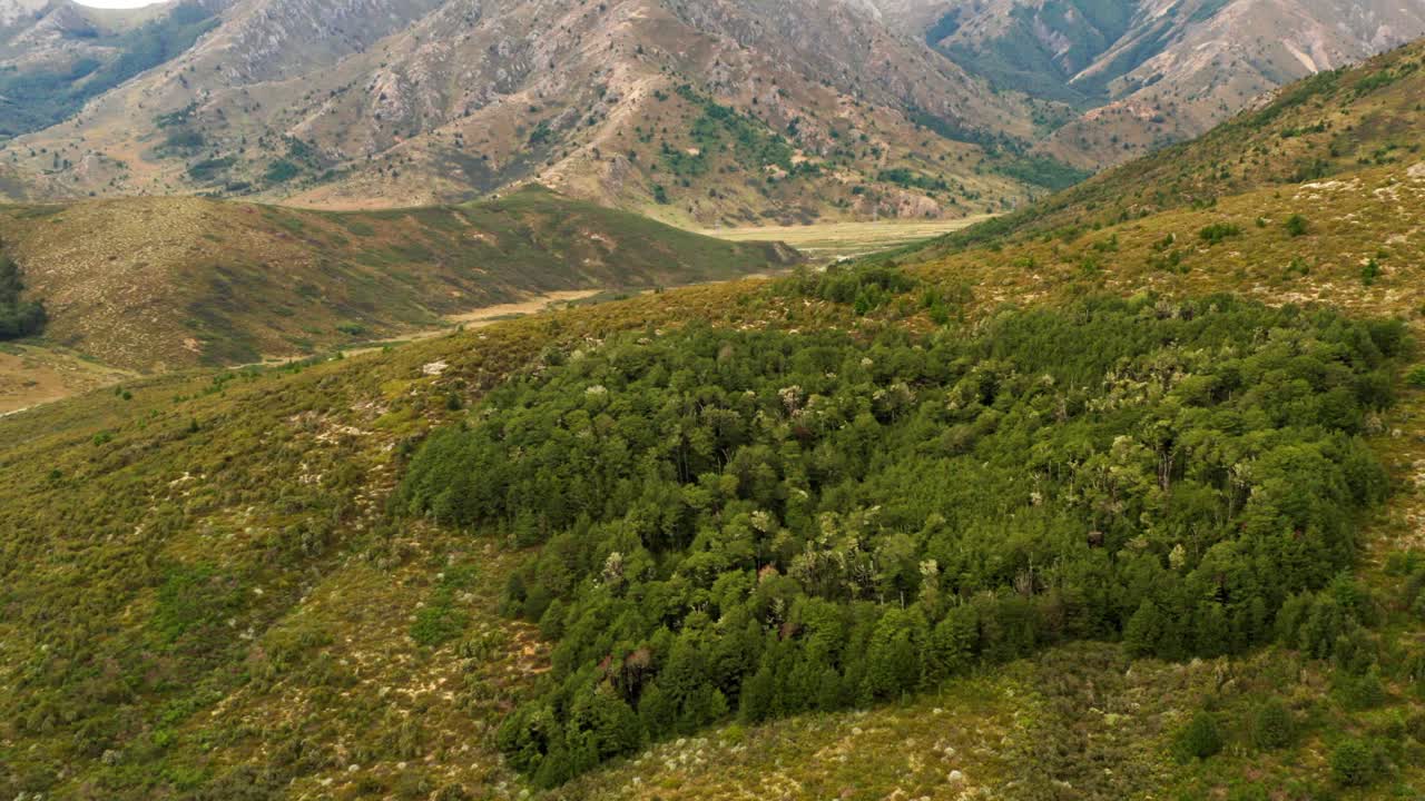 vista aérea inclinada hacia arriba de colinas verdes en nueva zelanda