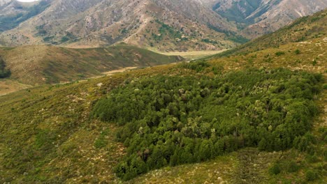 Aerial-tilt-up-view-of-green-hills-in-New-Zealand