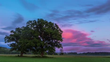 two cinematic trees