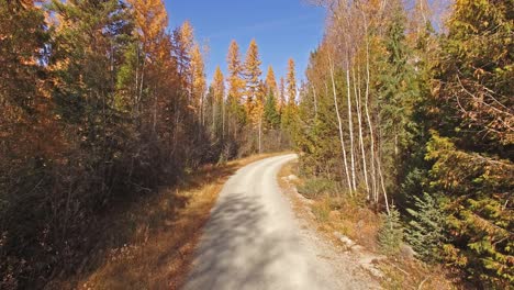 Aerial-Drone-Shot-in-Montana-traveling-down-a-dirt-road-in-the-Fall-or-Autumn