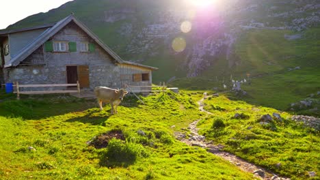 esta es una toma en cámara lenta de 4 k 60 fps de la cima de una montaña