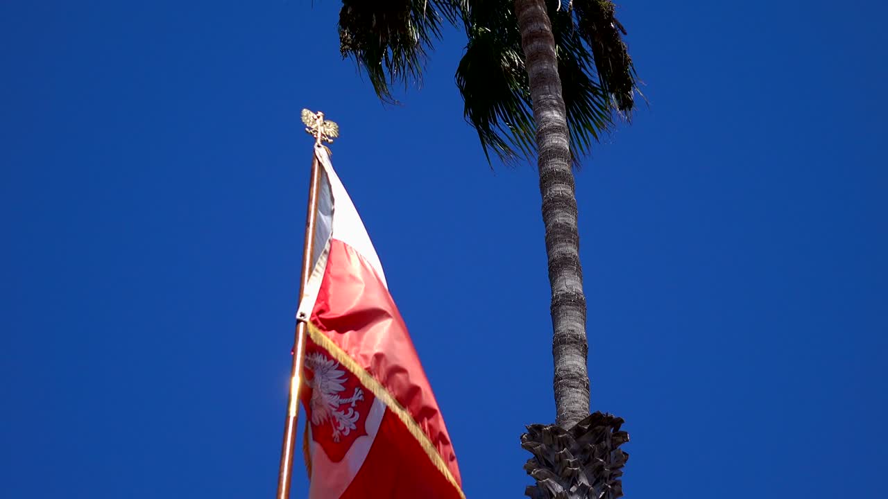 폴란드 국기 4k 영상