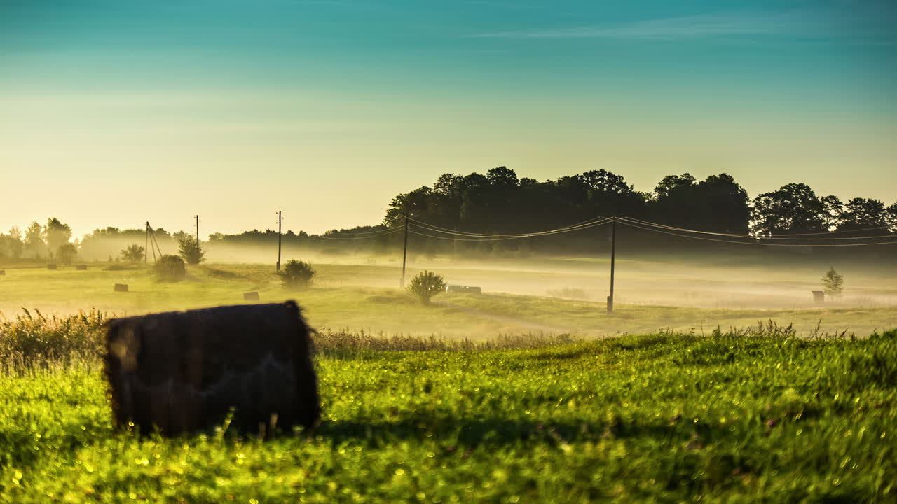 Illuminated early morning landscape as mist moves under power lines