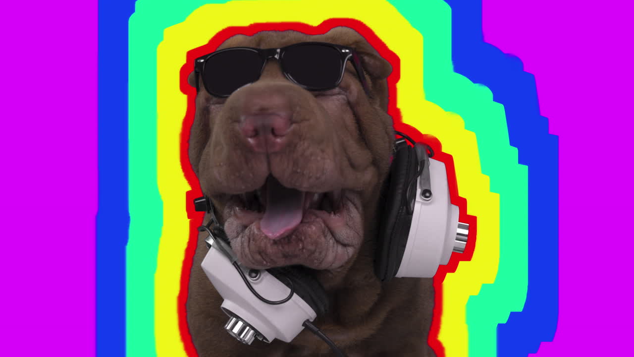 shar pei perro cachorro con auriculares con fondo blanco