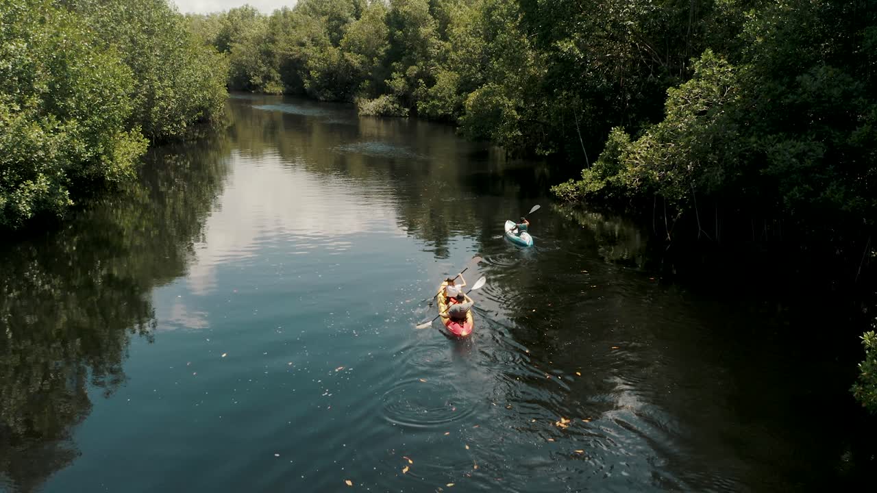 Turisti in kayak nella foresta di mangrovie a El Paredón, Guatemala - ripresa con drone