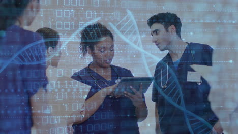 animation of data processing and dna strands over diverse doctors working in hospital