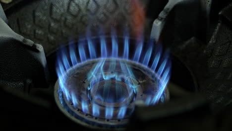 close-up of a gas stove burner flame