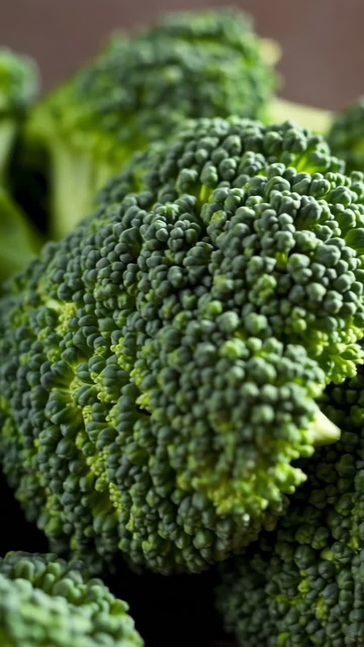 Close-up of Fresh Broccoli