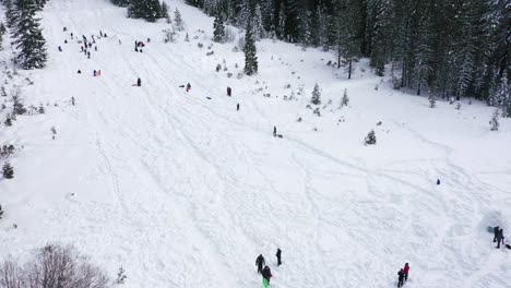 People-walking-and-sledding-down-a-hill-in-the-winter