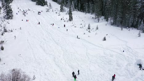 people walking and sledding down a hill in the winter