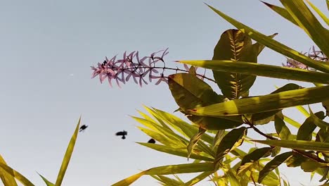 slow motion flowers and leaves