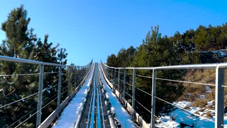 snow-dusted alpine coaster tracks lead uphill between pine trees in a winter setting. azerbaijan