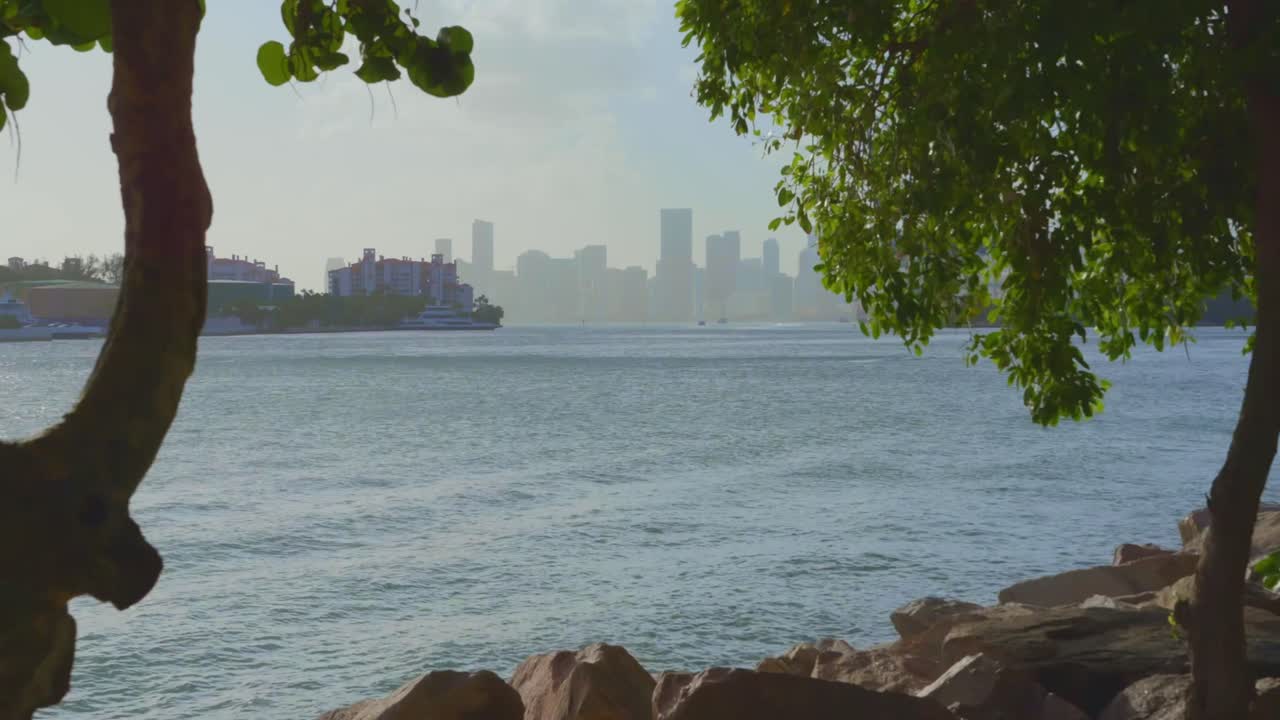 A scenic bayfront view of Miami’s skyline seen through tree branches and rocky shore in the foreground during a calm, sunlit morning.
