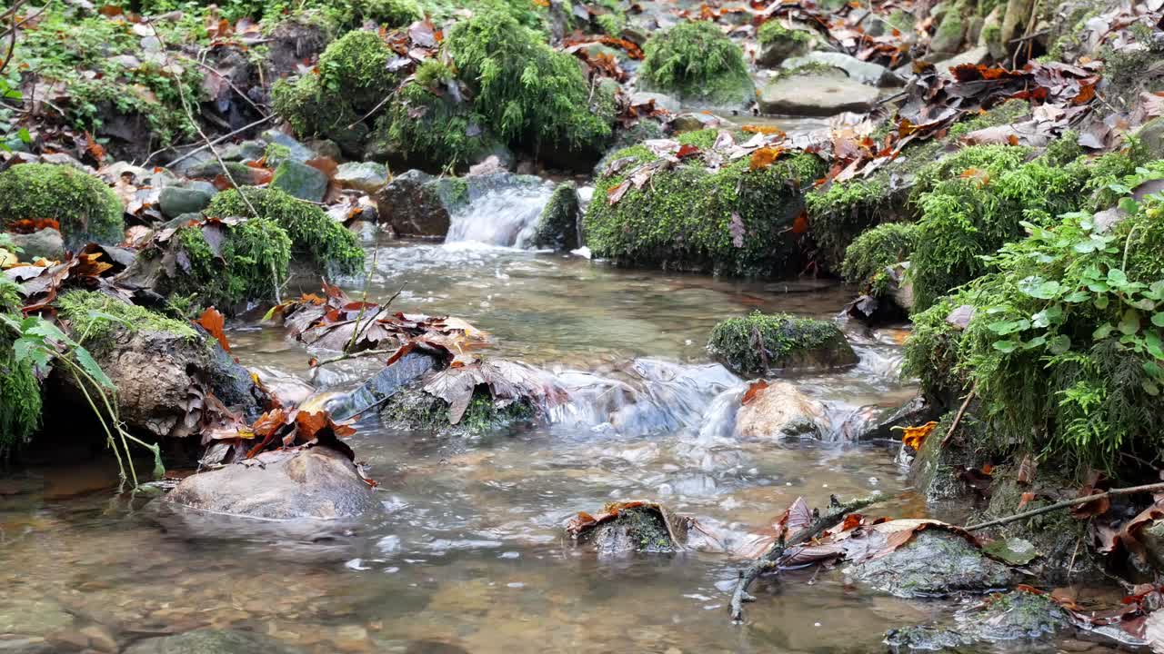 Fresh forest flowing river water over moss rocks woodland wilderness waterfall