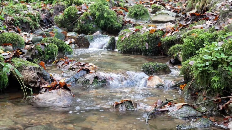 Fresh forest flowing river water over moss rocks woodland wilderness waterfall