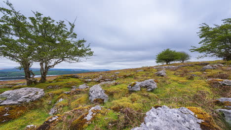 Timelapse-De-Movimiento-Panorámico-Del-Paisaje-Rural-Con-árboles-Y-Rocas-En-El-Campo-De-Hierba-De-Primer-Plano-Y-Colinas-Con-Lago-A-Distancia-Durante-El-Día-Nublado-Visto-Desde-Carrowkeel-En-El-Condado-De-Sligo-En-Irlanda