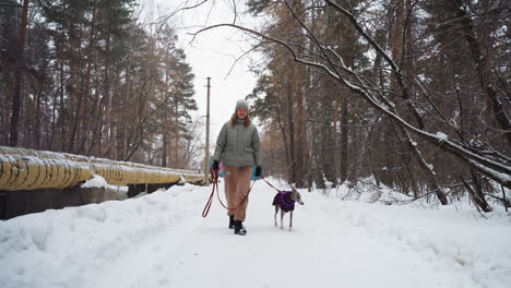 woman walking whippet wearing purple coat on snowy forest trail during cold winter day, surrounded by snow-covered trees and overhead utility pipeline, both enjoying peaceful outdoor walk in nature together