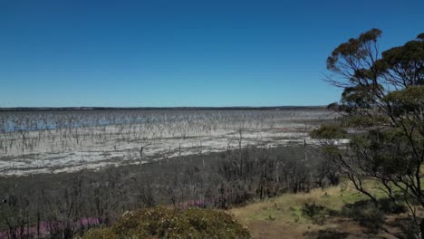 vista de pájaro del paisaje secado y degradado del lago taarbin debido al aumento de la salinidad