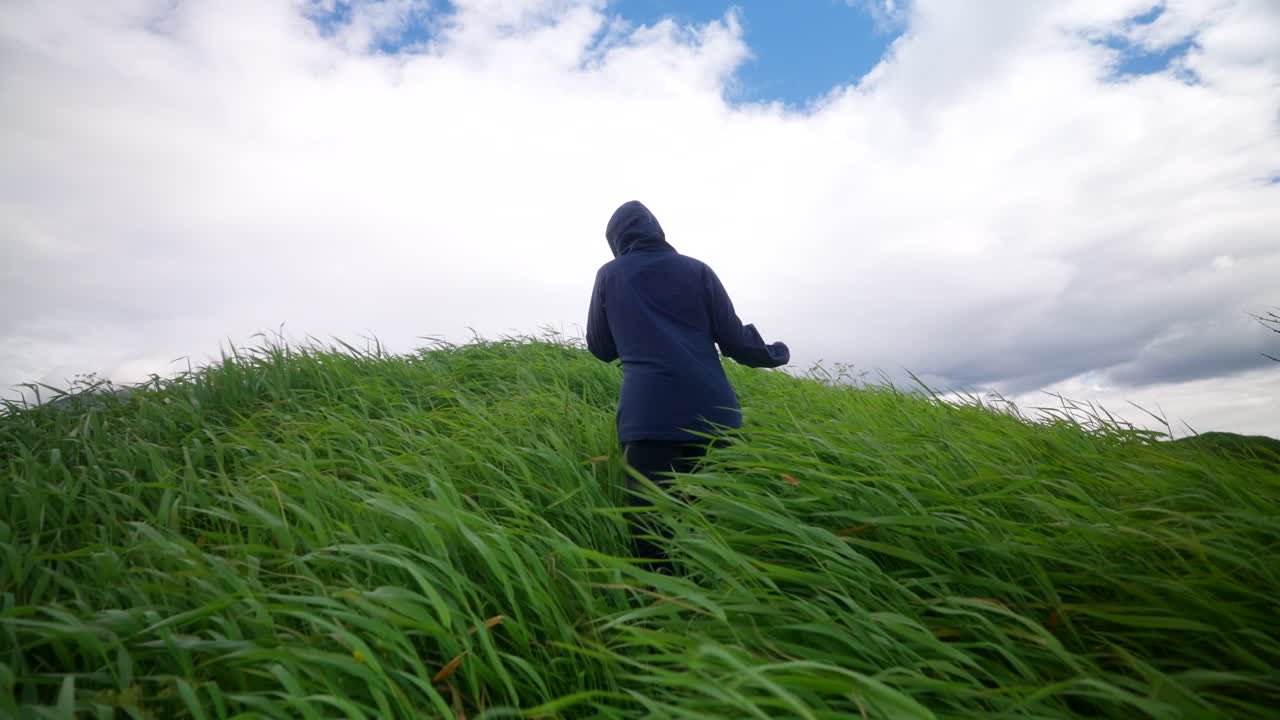 Giornata ventosa nella campagna norvegese, mentre una figura solitaria cammina attraverso l'erba alta e verde sotto nuvole drammatiche. Atmosfera di viaggio all'aperto, texture della natura e atmosfera meteo nella Norvegia rurale.