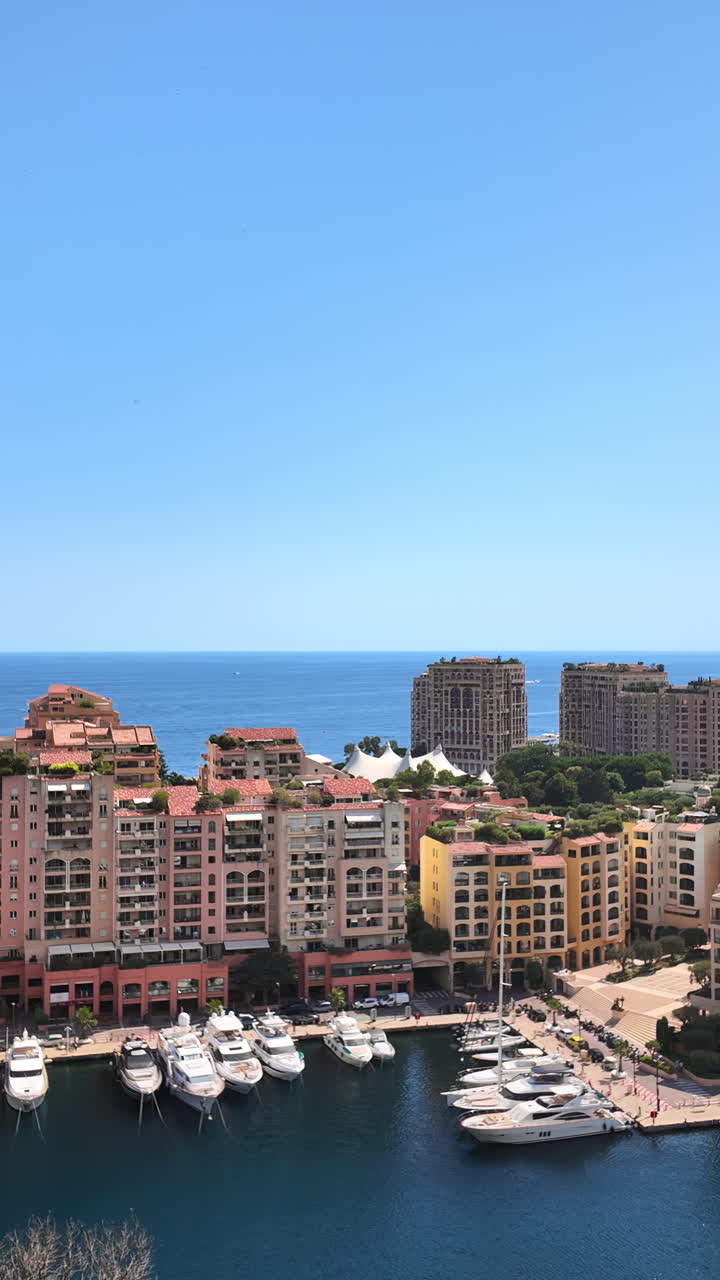 Aerial view of white boats docked in the Monaco Marina with the skyline on the background. Vertical