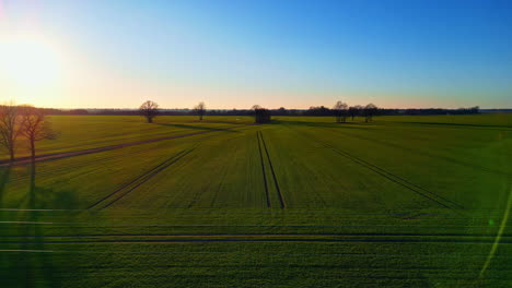 aerial tracking shot of green farmlands, sunny, spring evening on the countryside