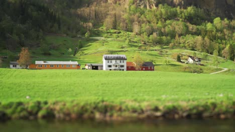 a farm near the steinsdalsfossen waterfall, norway. three buildings sitting at the foot of the mountain, surrounded by the forest and the green farm fields. the river is slowly flowing by