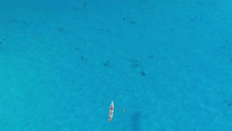 A-boat-sails-closer-to-pod-of-dolphins-in-Socotra-blue-sea,-Yemen-travel-drone,-aerial-view,-destination