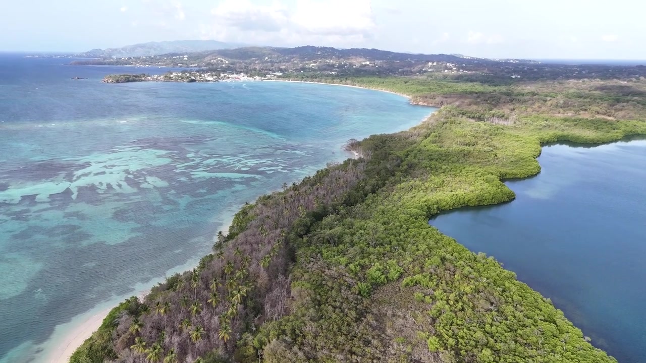 Ampia prospettiva aerea della lussureggiante foresta di mangrovie e delle barriere coralline a No Man's Land. Laguna tropicale turchese e natura selvaggia costiera sull'isola di Tobago, destinazione da sogno per le vacanze a Trinidad e Tobago.
