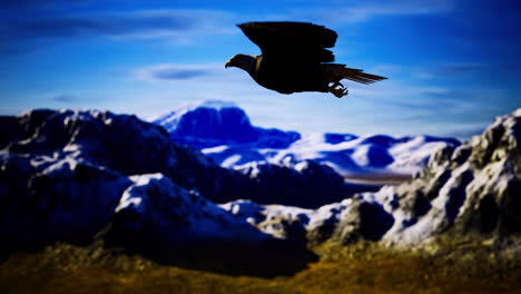 eagle soaring over majestic snow capped mountains under clear blue sky