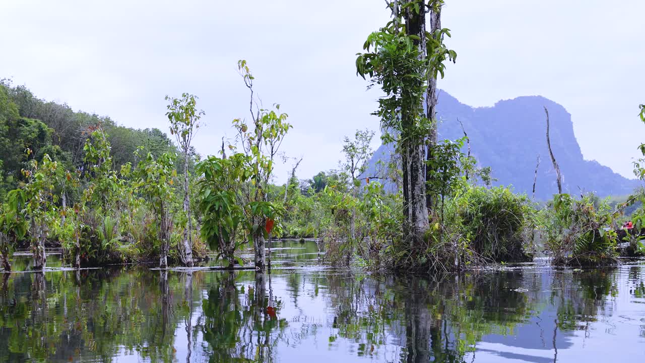 태국 크라비의 은 물 운하에서 경치 좋은 카야크 모험