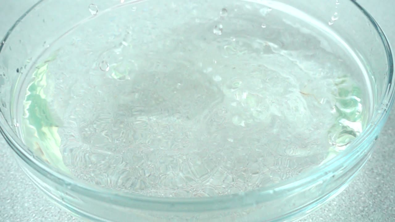 Le cuisinier sort des radis de l'eau. Ralenti
