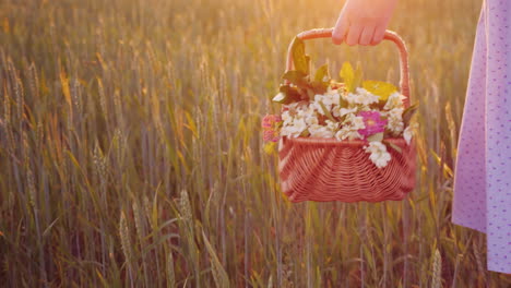 A-Woman-Carries-A-Basket-With-Wild-Flowers-In-Her-Hand-There-Is-A-Green-Meadow-Beautiful-Glare-Of-Th
