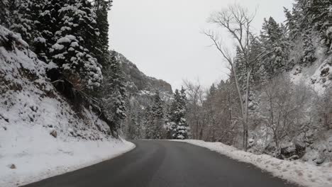 conduciendo a través de una carretera asfaltada con pinos nevados en las montañas de utah, ee.uu.