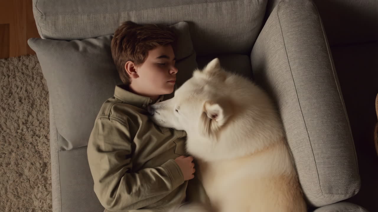 Boy resting with his Samoyed dog on a couch