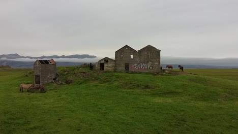 vandalized old stone building with horses grazing in meadow, drone view