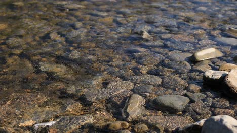 río de montaña salvaje cerca de abundante arroyo claro. detalle disparo estático de balbucear arroyo con rocas de piedra que fluyen. roca rápida en el agua de salpicaduras rápidas. ucrania, cárpatos. imágenes filmadas en 4k.