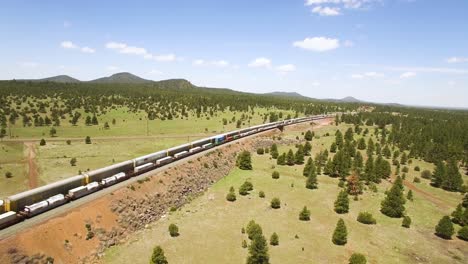 aerial passenger train passes a cargo train along the parallel tracks near williams, arizona