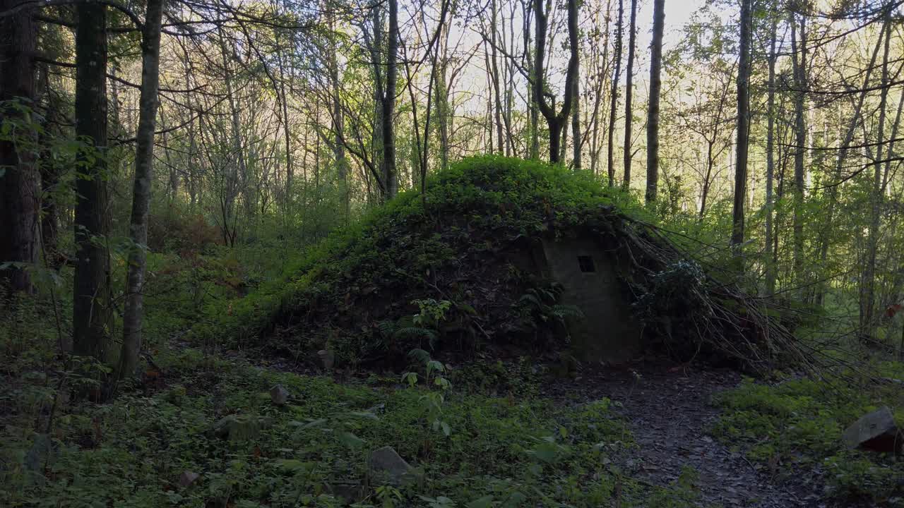 Vegetation covers an ancient ice well, a traditional structure for storing ice, nestled within a serene forest in sant hilari sacalm, catalonia, showcasing a blend of nature and history