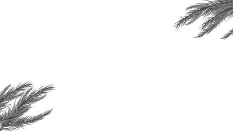 animation of fir tree branches over ho ho ho text on white background