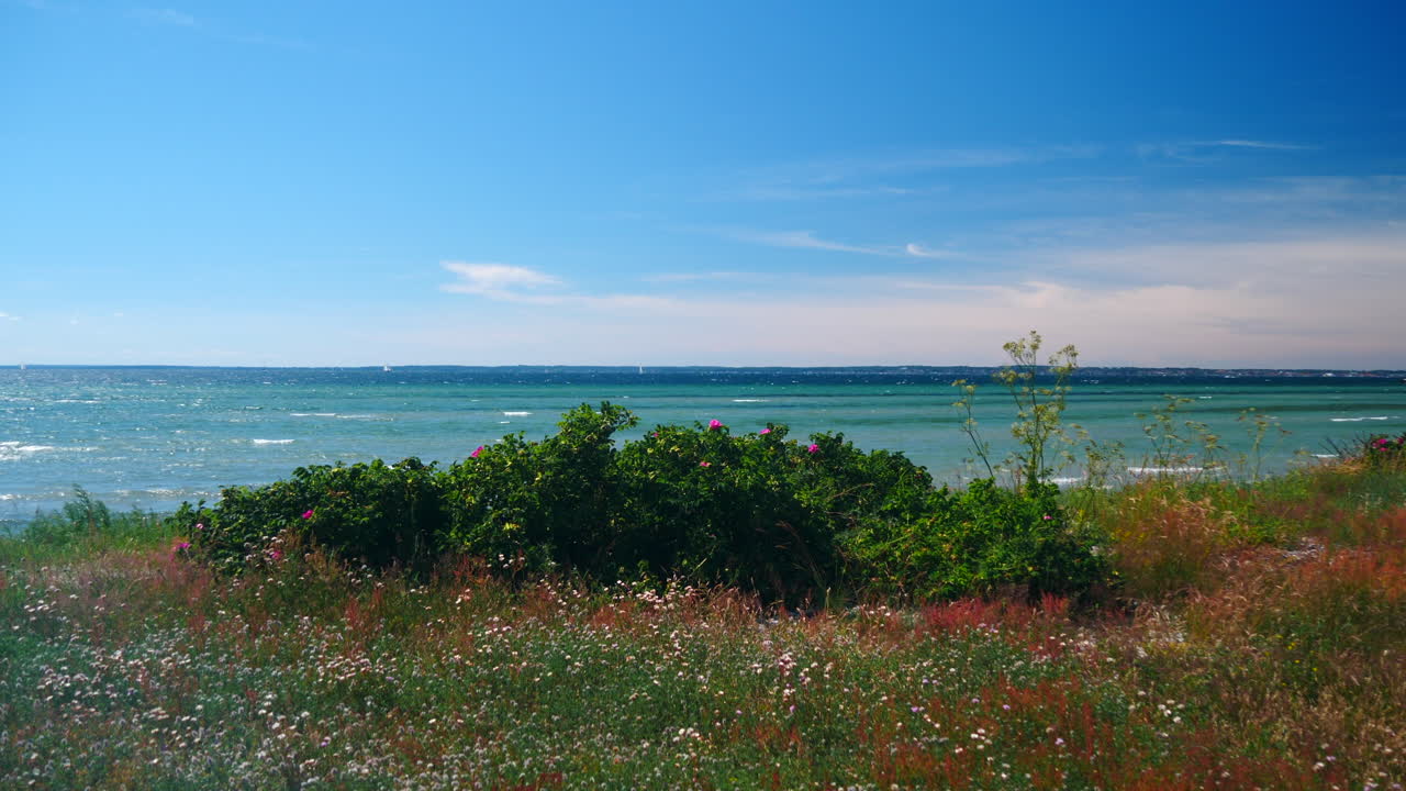 열대 해변 앞 꽃