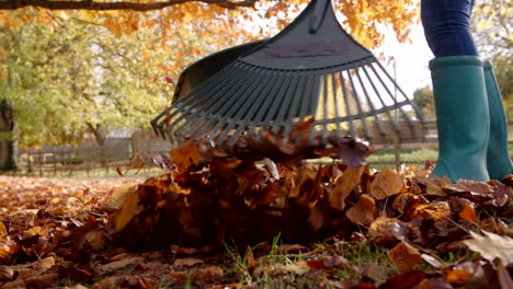 Nahaufnahme-Einer-Frau,-Die-Herbstblätter-Harkt,-Aufgenommen-In-Zeitlupe