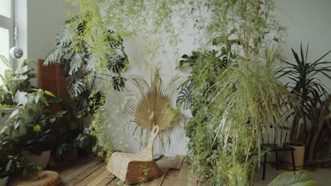 interior of room with green plants and rattan furniture