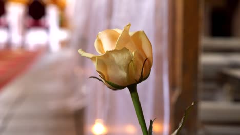 Close-up-of-a-white-rose,-serving-as-a-decoration-at-a-wedding