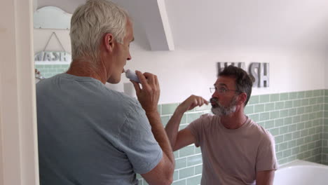 male homosexual couple brushing teeth in bathroom together