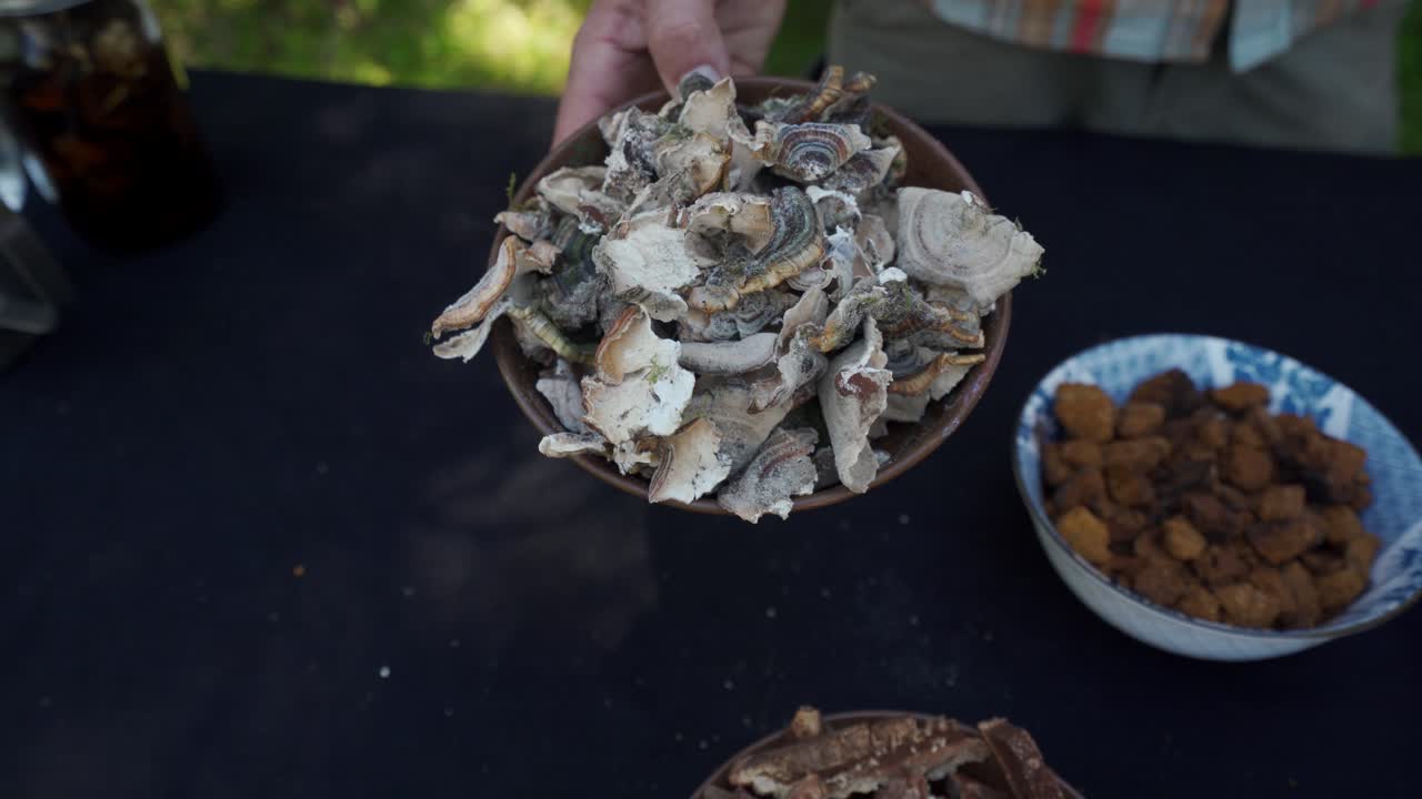 팅크를 만들 준비가 된 그릇에 말린 칠면조 꼬리 버섯