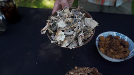 Turkey-Tail-mushrooms-dried-in-bowl-ready-to-make-tincture